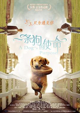 射丝袜视频